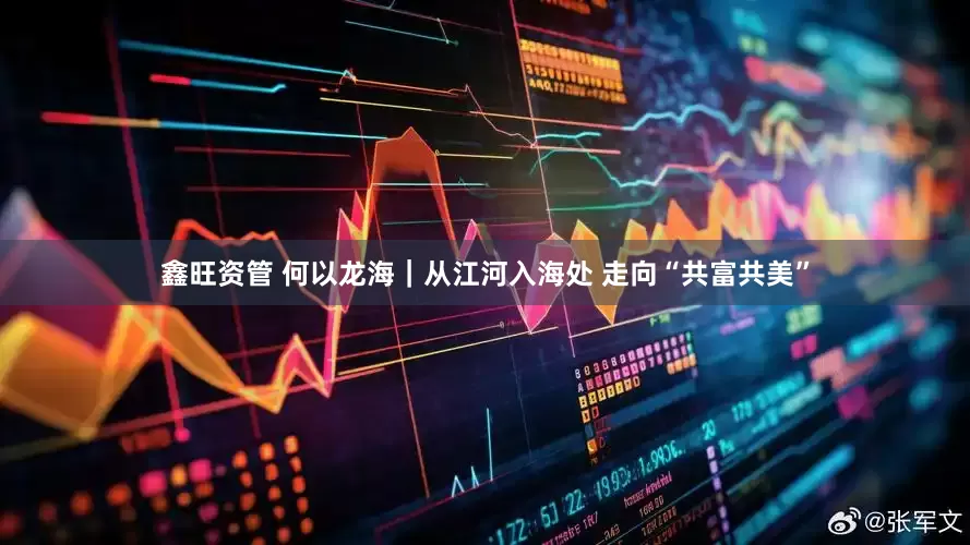 鑫旺资管 何以龙海｜从江河入海处 走向“共富共美”