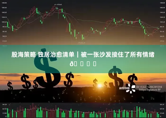 股海策略 独居治愈清单｜被一张沙发接住了所有情绪🛋️